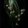 karis_mcbride